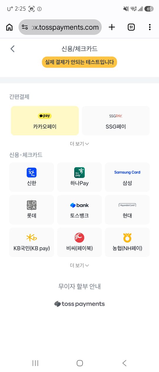 토스페이먼츠 결제창. 신용·체크카드 목록이 보인다.